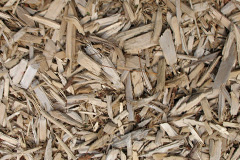 biomass boilers Grittlesend